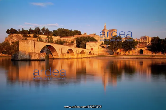 : Pont St Benezet over River Rhone with Palais : Pont St Benezet over River Rhone with Palais