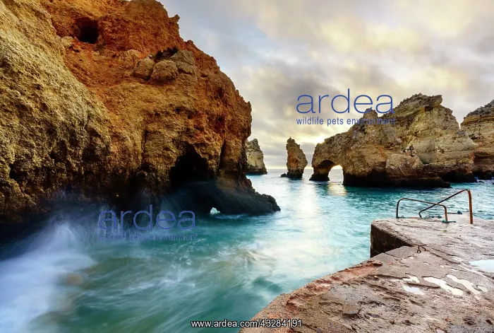 : Ponta da Piedade, morning mood, Lagos, Algarve : Ponta da Piedade, morning mood, Lagos, Algarve