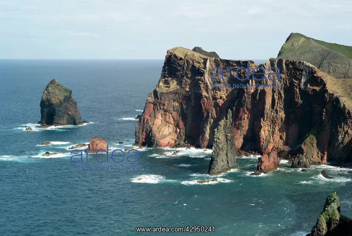 : Ponta de Sao Lourenco - Madeira : Ponta de Sao Lourenco - Madeira