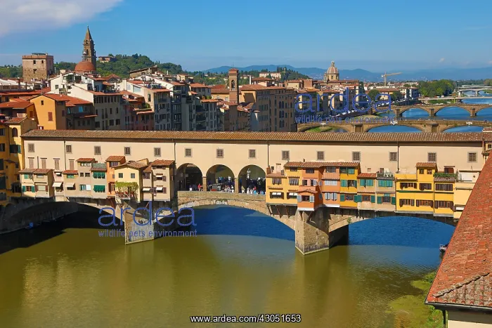 : The Ponte Vecchio bridge over the River Arno, Florence : The Ponte Vecchio bridge over the River Arno, Florence