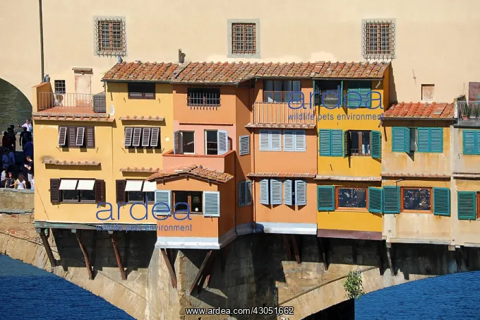: The Ponte Vecchio bridge over the River Arno, Florence : The Ponte Vecchio bridge over the River Arno, Florence