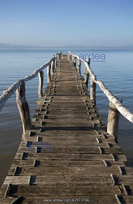 : Pontoon in the Gulf of Nicoya : Pontoon in the Gulf of Nicoya