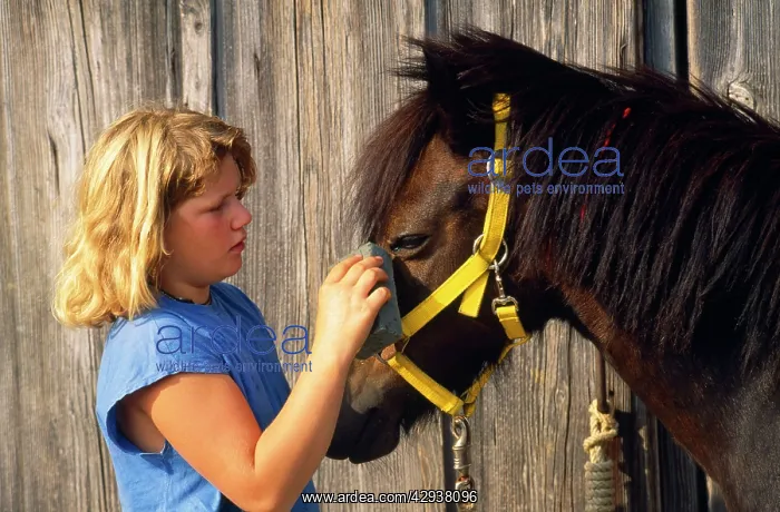  : Pony - girl cleaning eye with damp sponge