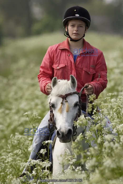 : Pony Rider and Wild Chervil at spring in Netherlands : Pony Rider and Wild Chervil at spring in Netherlands