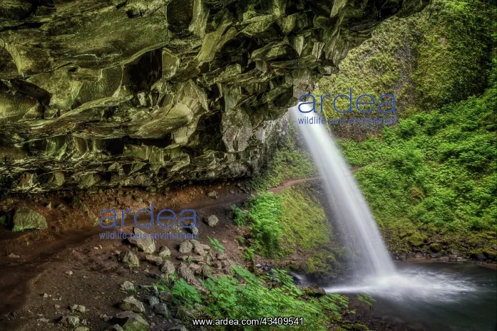 : Ponytail Falls, Columbia River Gorge, Oregon : Ponytail Falls, Columbia River Gorge, Oregon