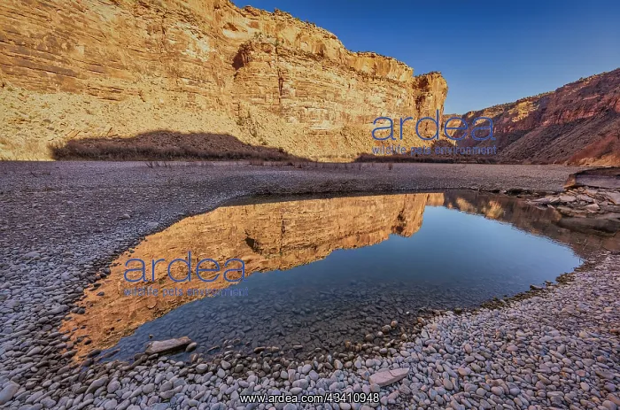 : Pool, Colorado River, Moab, Utah : Pool, Colorado River, Moab, Utah