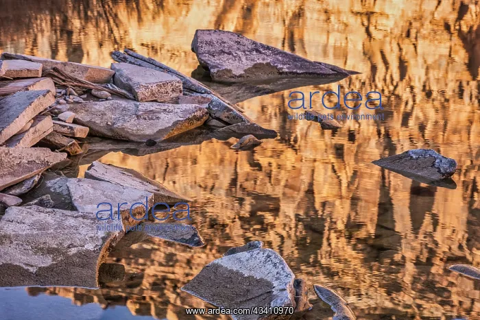  : Pool, Colorado River, Moab, Utah