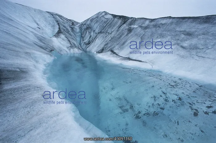 : Pool on Lowell Glacier : Pool on Lowell Glacier