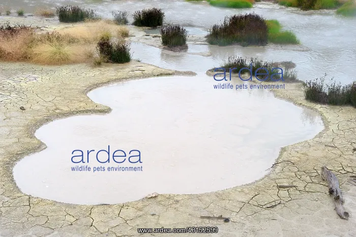 : Pool at mud volcano : Pool at mud volcano