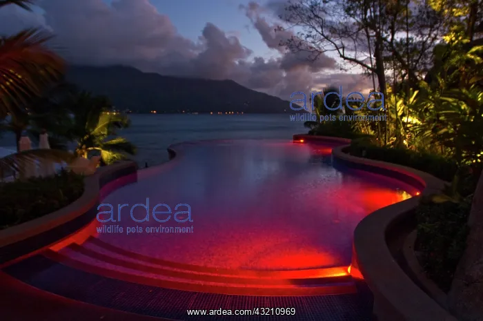 : Pool at Northolme Hotel : Pool at Northolme Hotel