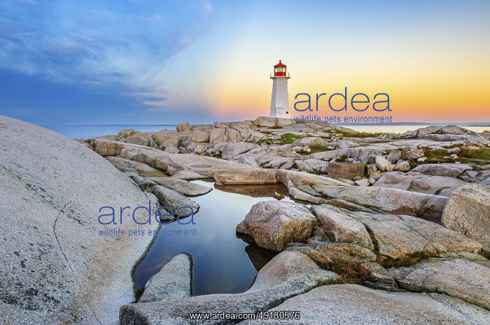  : A pool of water in the rocks in front of the iconic lighthouse in Peggy's Cove
