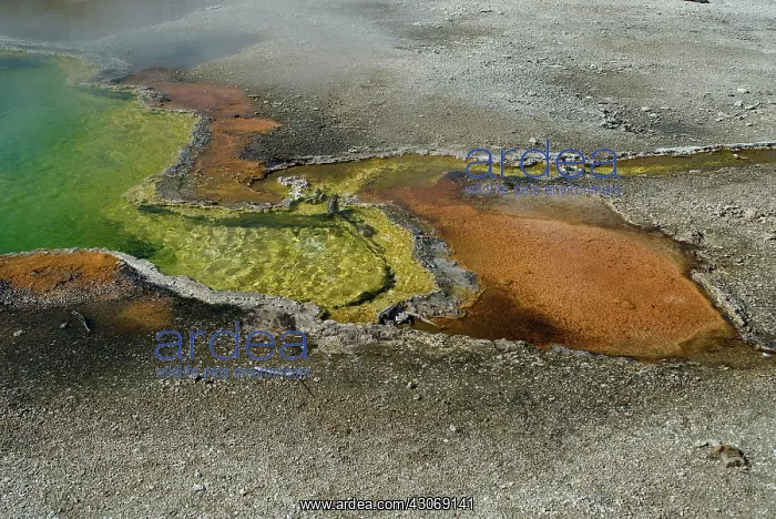  : Pools at West Thumb Geyser Basin
