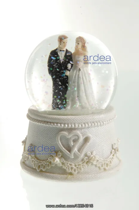 : Porcelain bride and groom in a snow globe : Porcelain bride and groom in a snow globe
