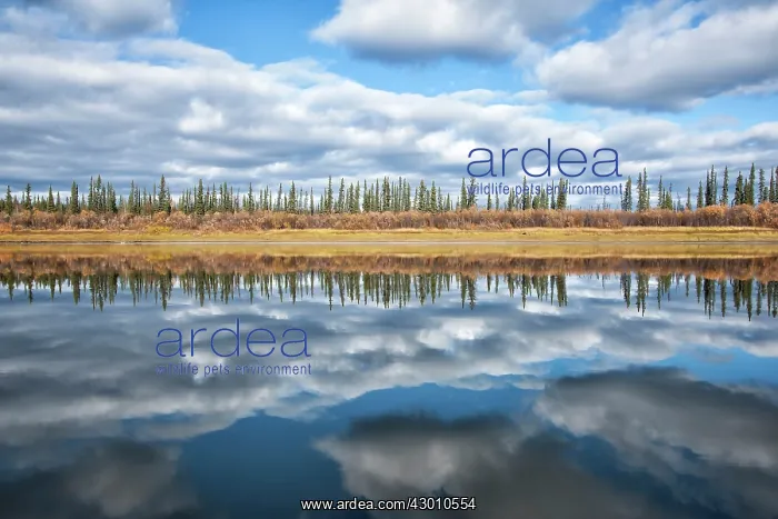 : Porcupine River clouds near the Gwich'in First Nation : Porcupine River clouds near the Gwich'in First Nation