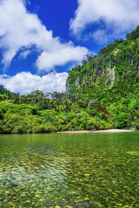 : The Pororari River, Paparoa National Park, Punakaiki, New : The Pororari River, Paparoa National Park, Punakaiki, New