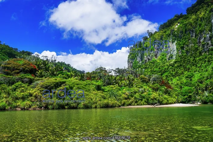 : The Pororari River, Paparoa National Park, Punakaiki, New : The Pororari River, Paparoa National Park, Punakaiki, New