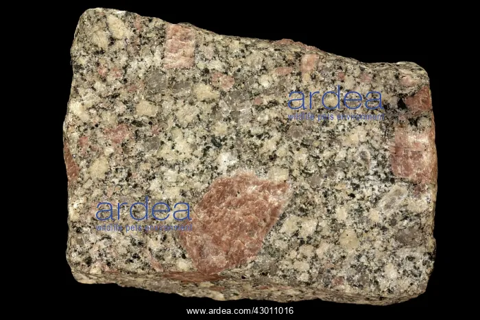  : Porphyry Coahuila, Mexico