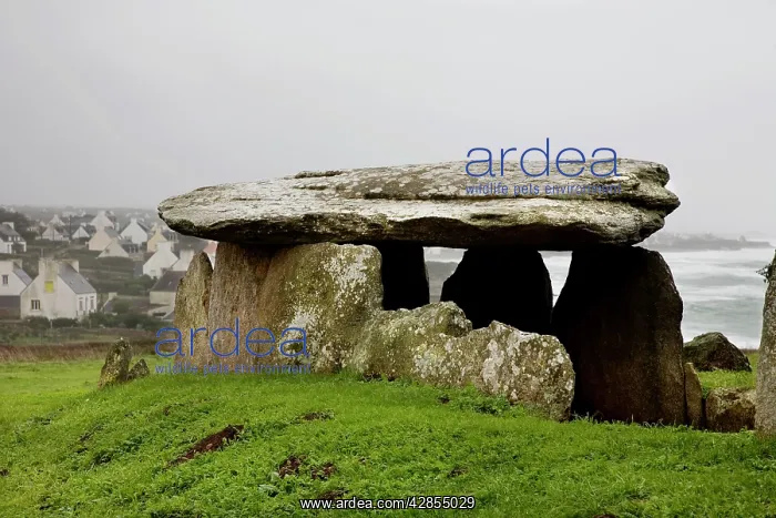 : Pors-Poulhan Finistere dolmen, Brittany, France : Pors-Poulhan Finistere dolmen, Brittany, France