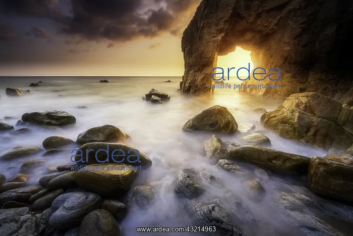 : Port Blanc Arch, Saint-Pierre-Quiberon, Morbihan : Port Blanc Arch, Saint-Pierre-Quiberon, Morbihan