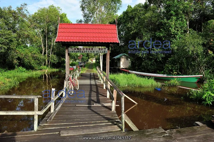 : port of Tanjung Harapan village : port of Tanjung Harapan village