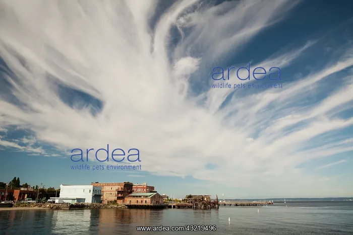 : Port Townsend waterfront, Washington, USA : Port Townsend waterfront, Washington, USA