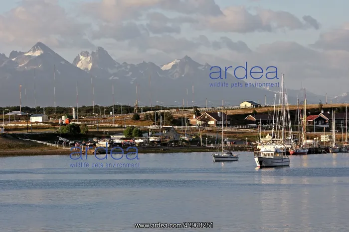 : Port of Ushuaia - southern tip of south america : Port of Ushuaia - southern tip of south america