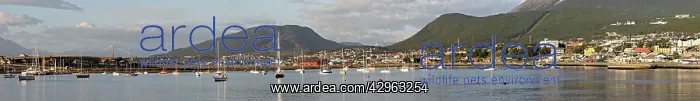: Port of Ushuaia - southern tip of south america : Port of Ushuaia - southern tip of south america