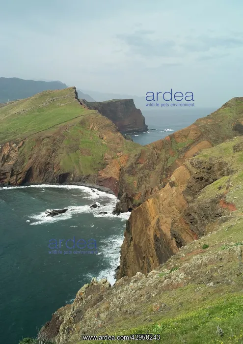 : Porta de Abra - San Lourenco Peninsula : Porta de Abra - San Lourenco Peninsula