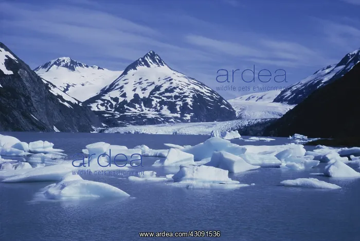 : Portage Glacier : Portage Glacier