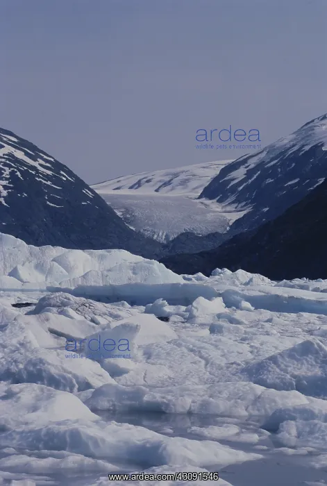  : Portage Glacier