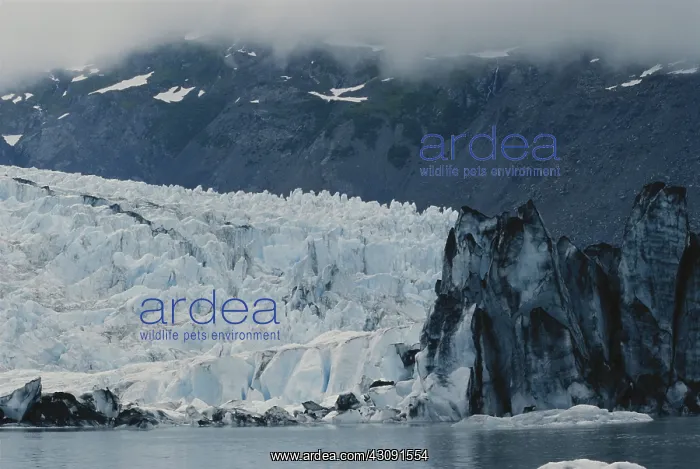 : Portage Glacier : Portage Glacier