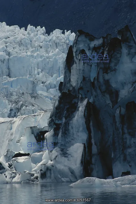 : Portage Glacier : Portage Glacier