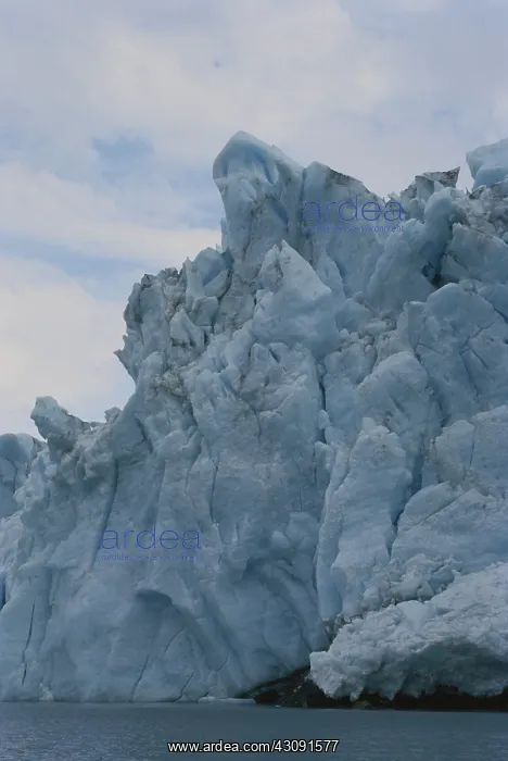 : Portage Glacier : Portage Glacier