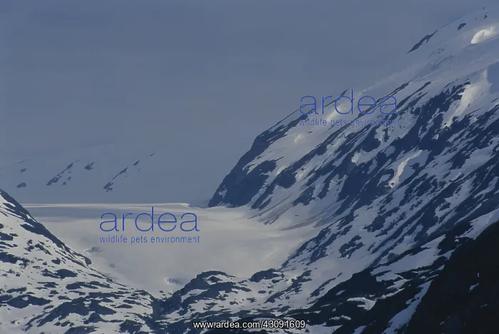 : Portage Glacier : Portage Glacier