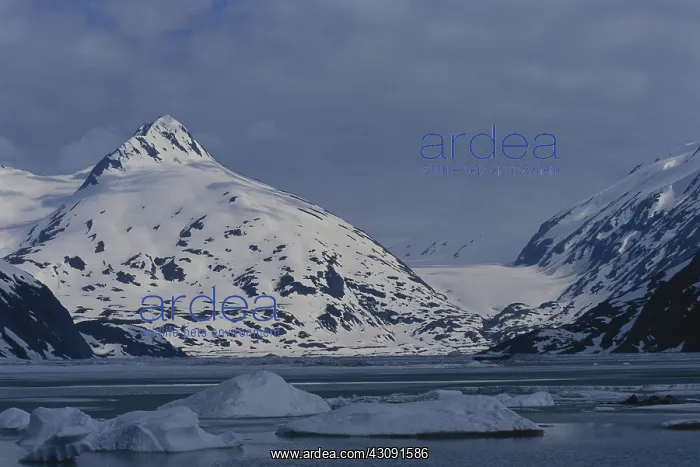 : Portage Lake and Glacier : Portage Lake and Glacier