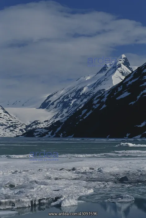 : Portage Lake and Glacier : Portage Lake and Glacier