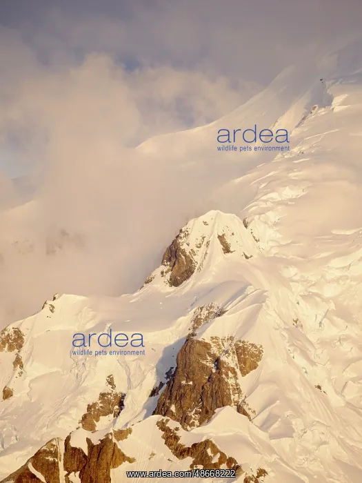 : Portal Point in the Graham Land of the Antarctic Peninsula : Portal Point in the Graham Land of the Antarctic Peninsula