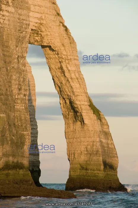  : Porte d'Aval arch, Etretat, Normandy, FRANCE