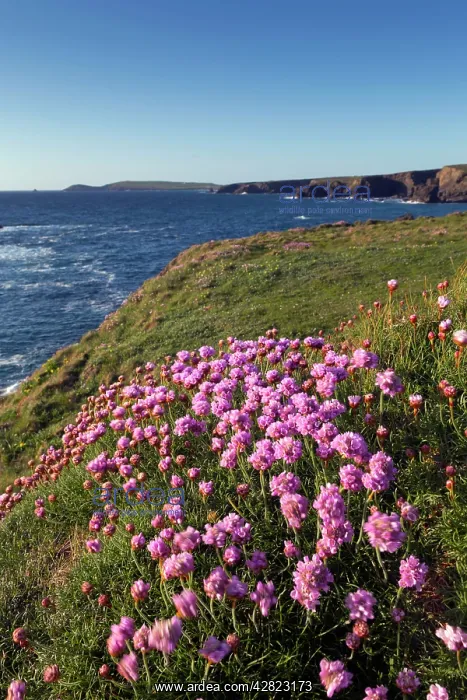  : Porthcothan
