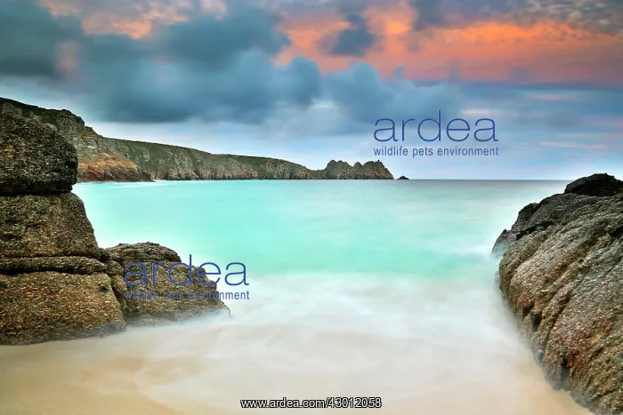 : Porthcurno Beach : Porthcurno Beach