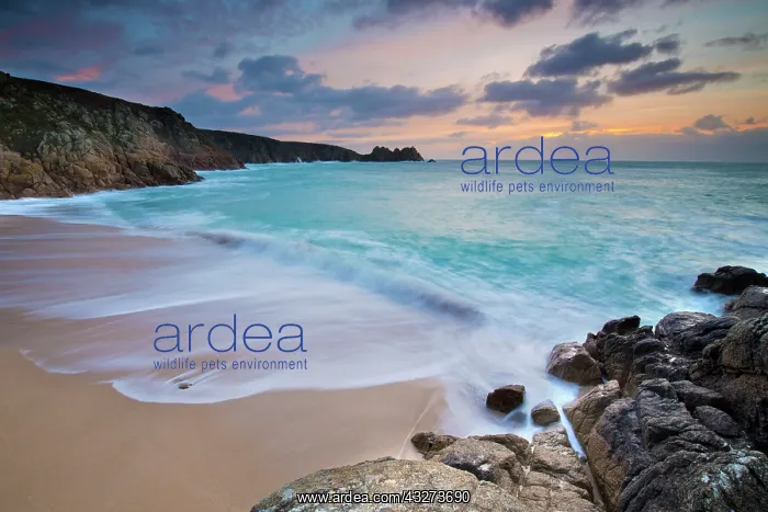 : Porthcurno - beach and seascape at dawn : Porthcurno - beach and seascape at dawn