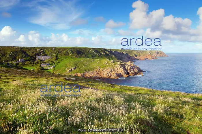  : Porthgwarra