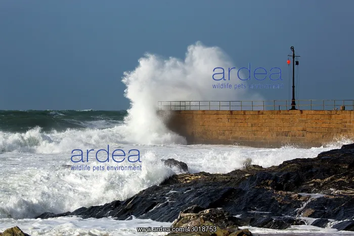 : Porthleven Pier hit by waves in storm : Porthleven Pier hit by waves in storm