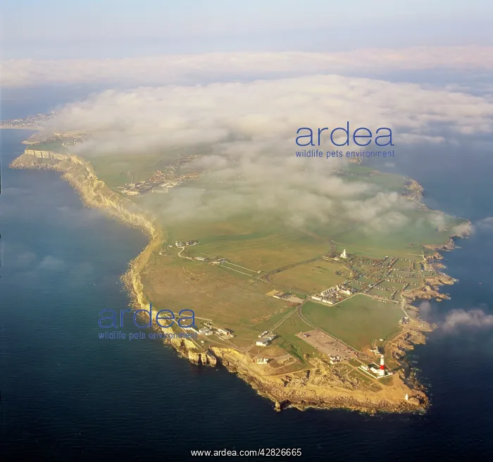  : Portland Bill, Isle of Portland, Dorset, England