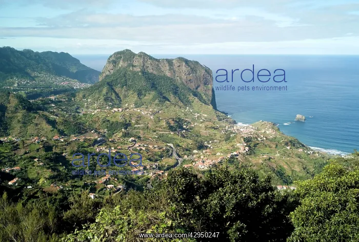 : Porto da Cruz seen from Portela - Madeira : Porto da Cruz seen from Portela - Madeira