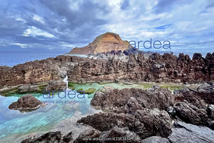 : Porto Moniz, northwest of Madeira Island, natural : Porto Moniz, northwest of Madeira Island, natural