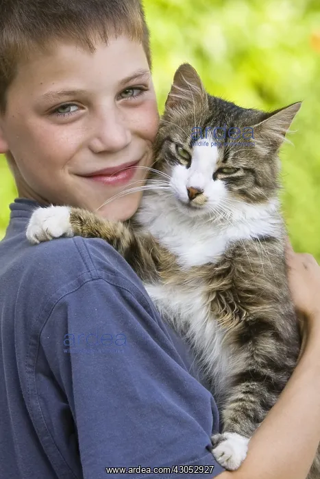 : Portrait of a boy with a cat : Portrait of a boy with a cat