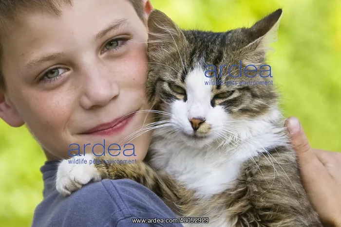 : Portrait of a boy with a cat : Portrait of a boy with a cat