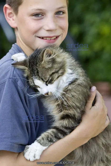 : Portrait of a boy with a cat : Portrait of a boy with a cat