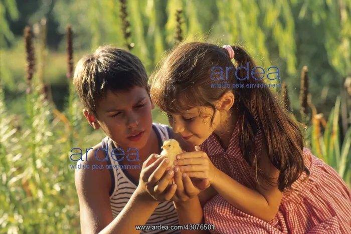 : Portrait of two children tenderly watching a fledging : Portrait of two children tenderly watching a fledging